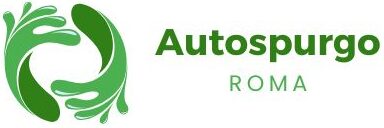 Autospurgo Roma